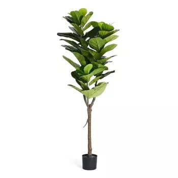 nan