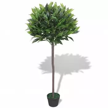 nan