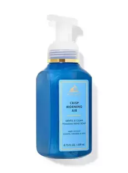 Нежное пенящееся мыло для рук Crisp Morning Air, 8.75 fl oz / 259 mL, Bath and Body Works