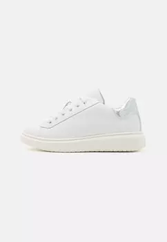 Низкие кеды TWINSET, цвет white/metallic