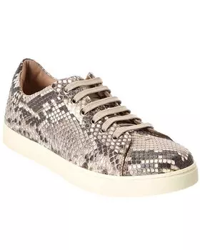 Низкие кроссовки Gianvito Rossi Python, серый