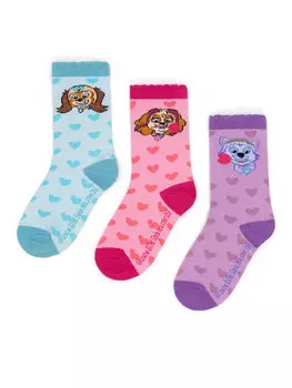 Носки ACCCS-AW24-327PAW (3-pack) Paw Patrol, мультиколор