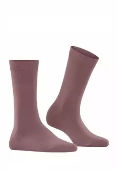 Носки FAMILY SO EINFARBIG FALKE, фиолетовый