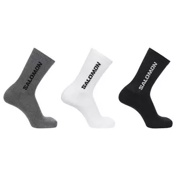 Носки Salomon Everyday 2 шт, разноцветный