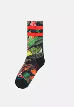 Носки Stance
