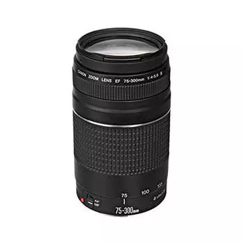 Объектив Canon EF 75-300mm f/4-5.6 III