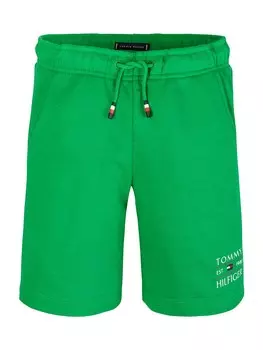 Обычные брюки TOMMY HILFIGER, зеленый