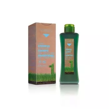 Очищающий шампунь Biokera Scalp Care Champ Miel Salerm, 300 мл