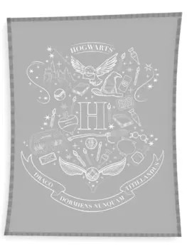 Одеяло Harry Potter /Fleece, серый