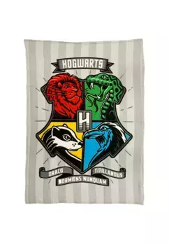 Одеяло Harry Potter Shop