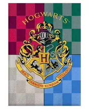 Одеяло Harry Potter Shop, цвет Bunt