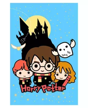 Одеяло Harry Potter Shop, цвет Bunt