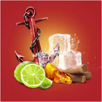 Old Spice Captain набор: мужской дезодорант-стик, 50 мл + гель для душа, 250 мл + лосьон после бритья, 100 мл