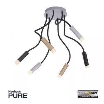 Пауль Нойхаус 6011-95 Pure-Gemin Paul Neuhaus