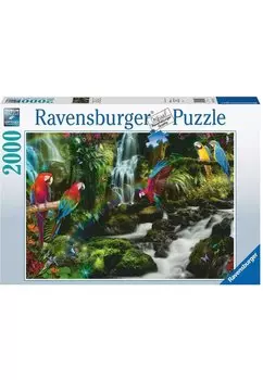 Пазл 2000 PIECES PIED PARROTS IN THE JUNGLE Ravensburger, цвет multi coloured