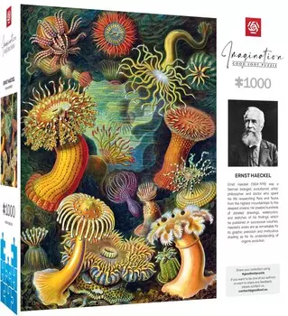 Пазл, Good Loot, Imagination, Эрнст Геккель: Морские Анемоны/Морские Существа, 1000 шт.