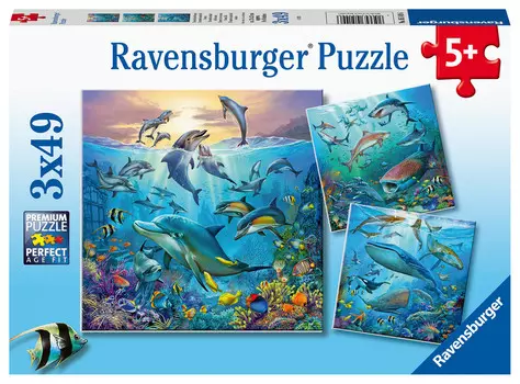 Пазл Ravensburger The Life Aquatic, 3х49 шт.