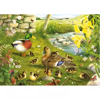 Пазлы Ducks To Water Big 500 Puzzle