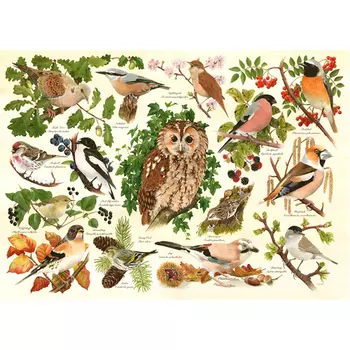 Пазлы Woodland Birds Big 500 Puzzle