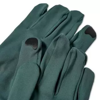 Перчатка Arcteryx Ро, серый