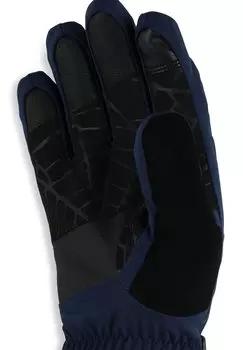 Перчатки SKI OVERWEB Spyder, синий