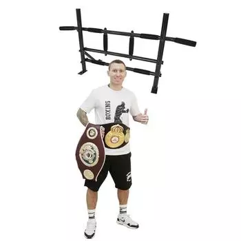Перекладина Winner Настенная перекладина 150 кг ABSOLUTE CHAMPION, черный