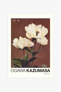 Плакат «пион» от kazumasa Postery, 50x70 см, красный