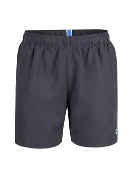 Плавки ARENA Swim Trunks FUNDAMENTALS, антрацит