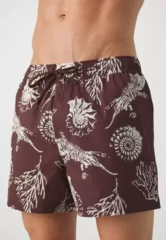 Плавки Moses Swim Samse Samse, коричневый