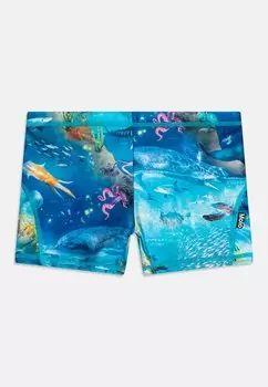 Плавки NORTON TRUNKS Molo, цвет ocean zones