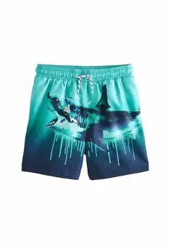 Плавки PRINTED-REGULAR FIT Next, синий