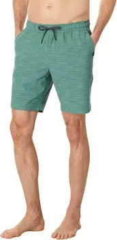 Плавки Rip Curl Boardwalk Jackson 18" Volley, цвет Washed Green