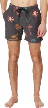 Плавки Rip Curl Party Pack 16" Volley, цвет Multico