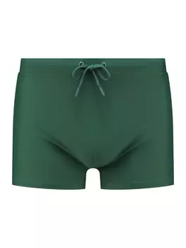 Плавки Shiwi Swim Trunks, зеленый
