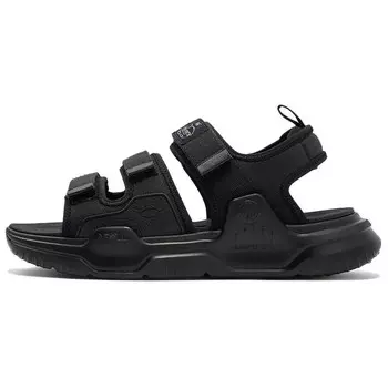 Пляжные сандалии мужские Obsidian Black 361°