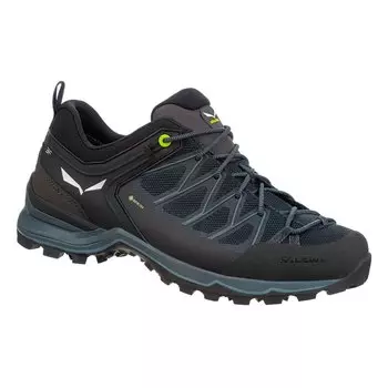 Походная обувь Salewa MTN Trainer Lite Goretex, черный