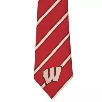 Полосатый галстук Wisconsin Badgers