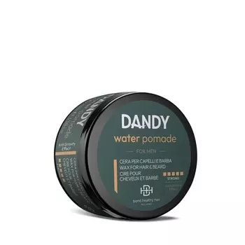Помада для волос 100 мл Dandy