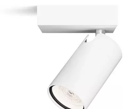 Потолочный светильник Philips Idris, белый