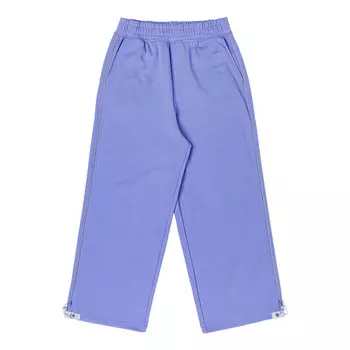 Повседневные брюки женские фиолетовые Dickies