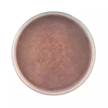 Пудра для лица Base de Maquillaje en Polvo Mineral Powder Foundation Technic, Honey