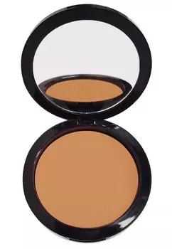 Пудра для лица Makeup Coverage Compact Fundation 01 PostQuam