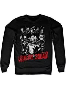 Пуловер DC Suicide Squad, черный