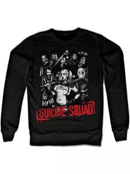 Пуловер DC Suicide Squad, черный