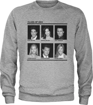 Пуловер Friends, серый
