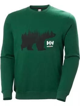 Пуловер Helly Hansen Pullover, зеленый