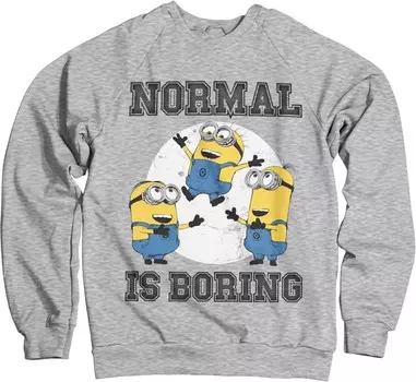 Пуловер Minions, серый