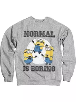 Пуловер Minions, серый