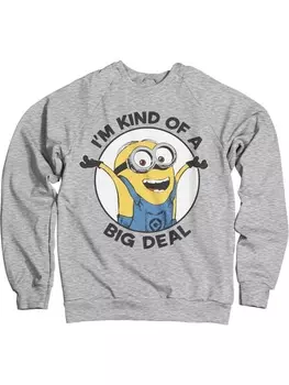 Пуловер Minions, серый