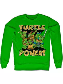 Пуловер Teenage Mutant Ninja Turtles, зеленый